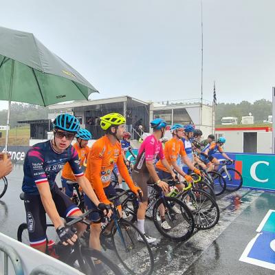 Glav bihan 20250828 112340